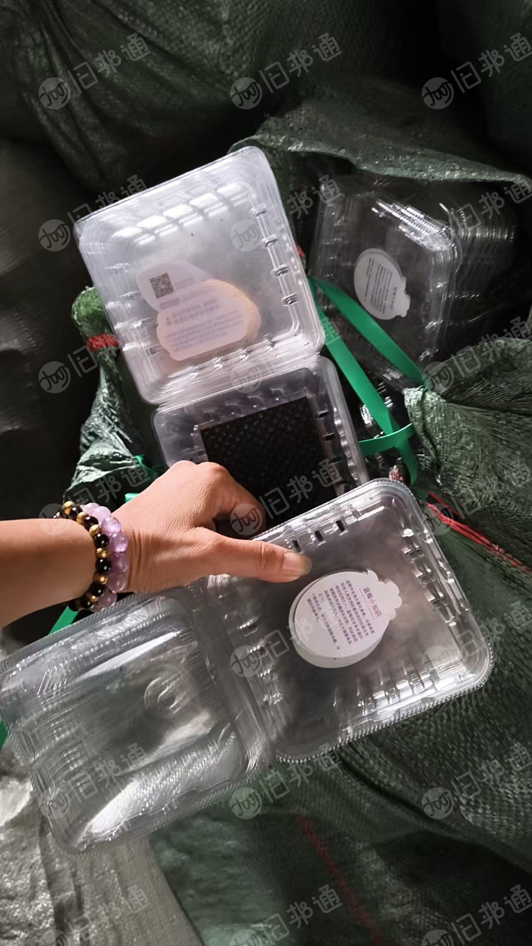 长期出售pet吸塑盒毛料，电子厂吸塑盒和蓝莓盒子，有人工挑选，每月都有