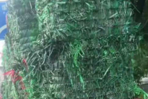 长期出售PET打包带废料，社会料厂货混打，每月几十吨