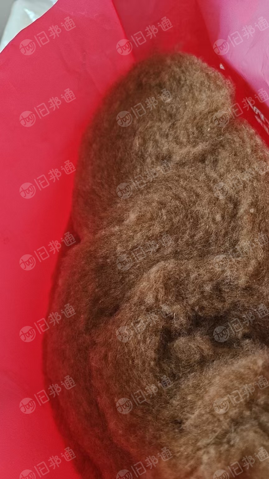长期大量出售正品羊绒絮片，驼绒絮片，家纺，服装的都有，可直接上机用，在河北邢台