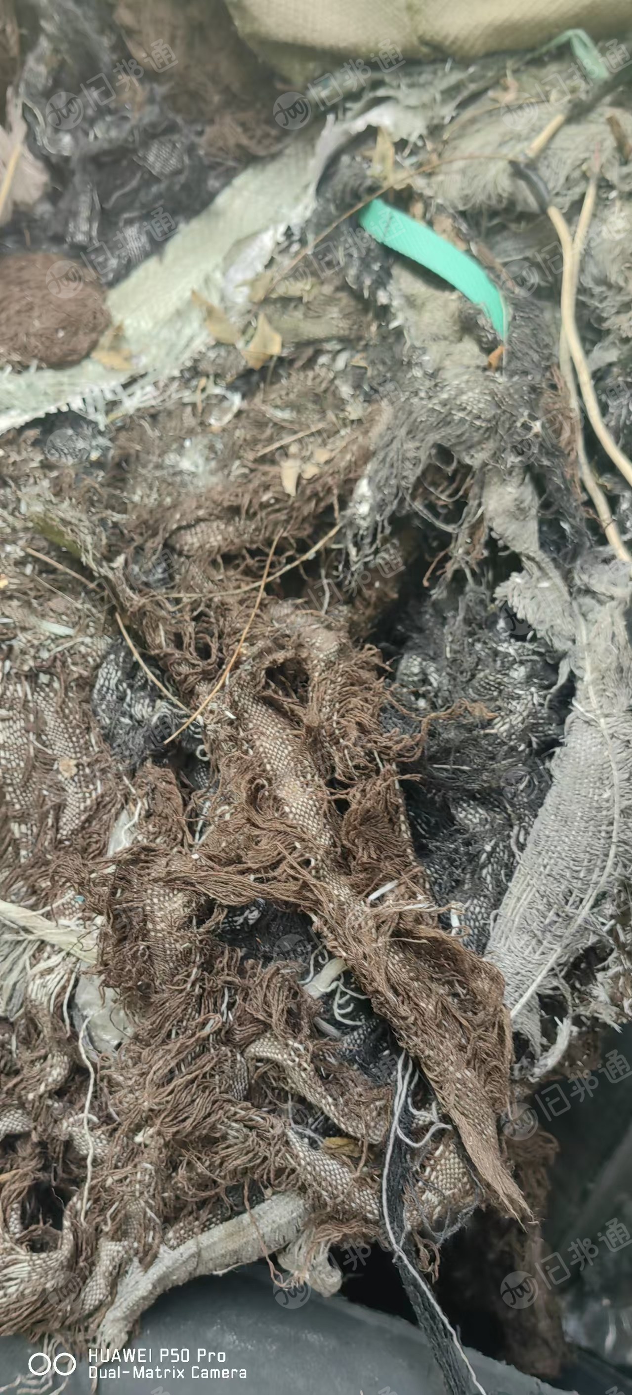 长期出售地毯棉线，羊毛线，涤纶线，在山东滨州