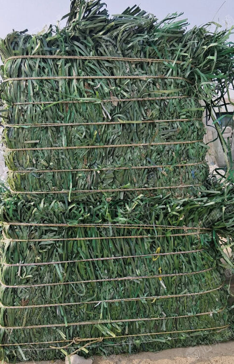 长期出售PET打包带废料，厂货