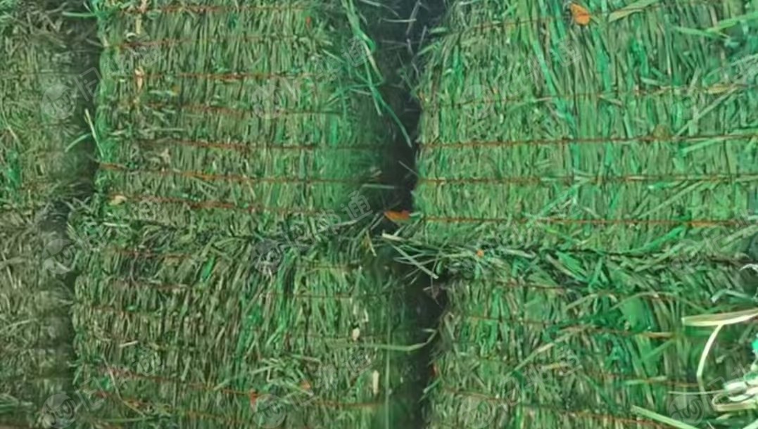 长期出售PET打包带废料，每月3车