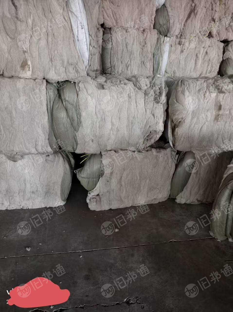 出售纯棉鱼籽棉，风箱花，现货有50吨左右，货在山东滨州
