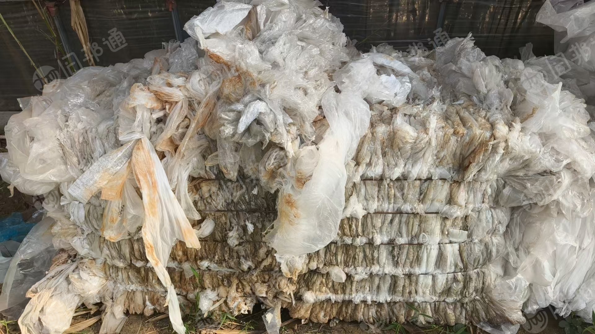 长期出售水洗大白，二白高压膜，现货6米8一车