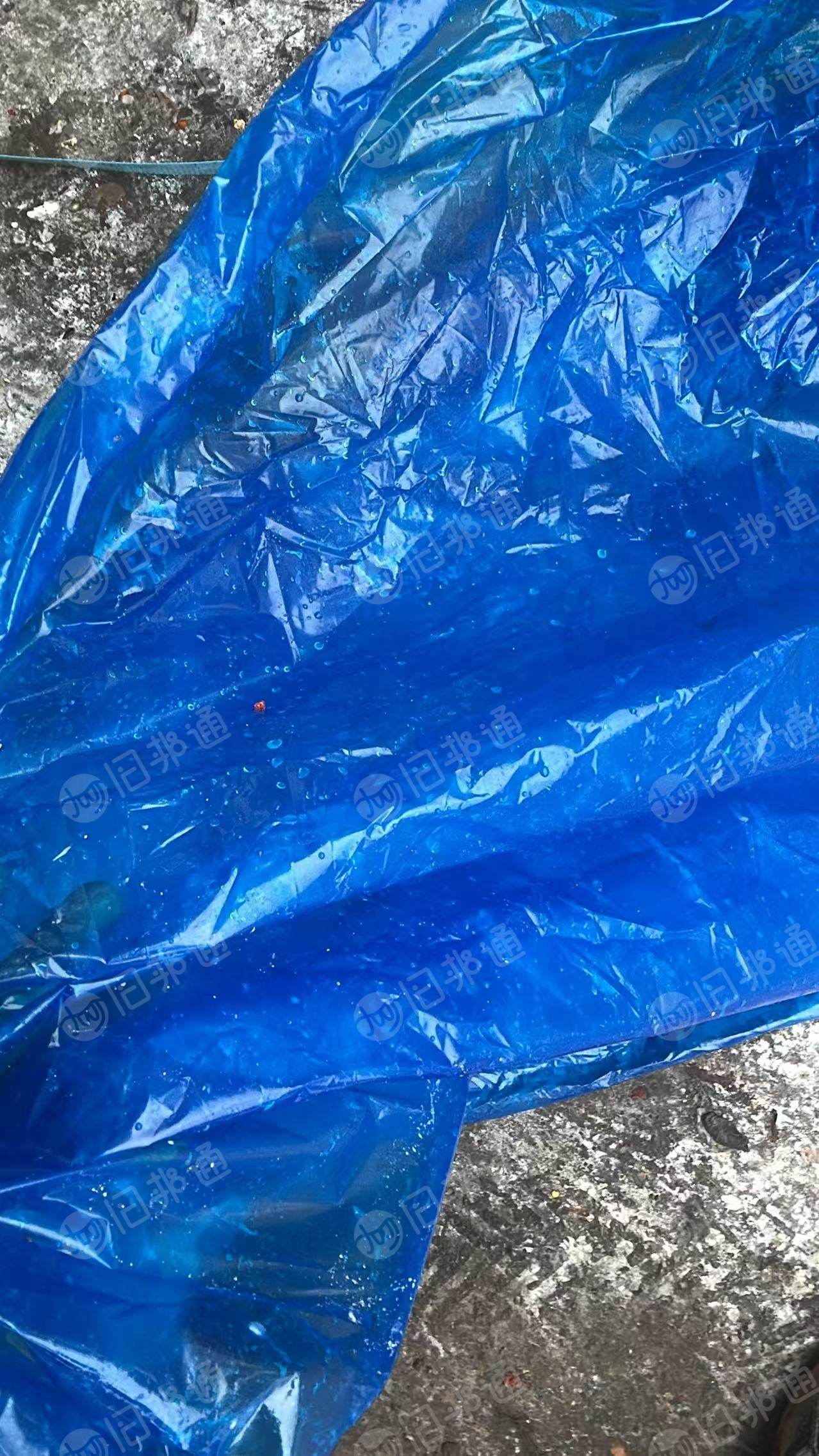 出售pe红膜蓝膜废料，厂家下来一袋一袋分装好了的，现货十几吨