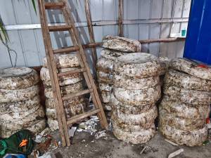 出售EPS热熔块，长期有货