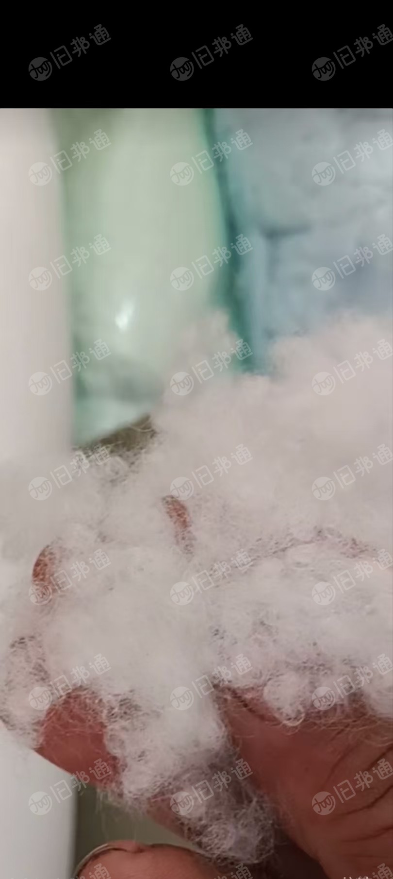 长期出售珍珠棉开松棉，开花棉，大白棉，可做填充