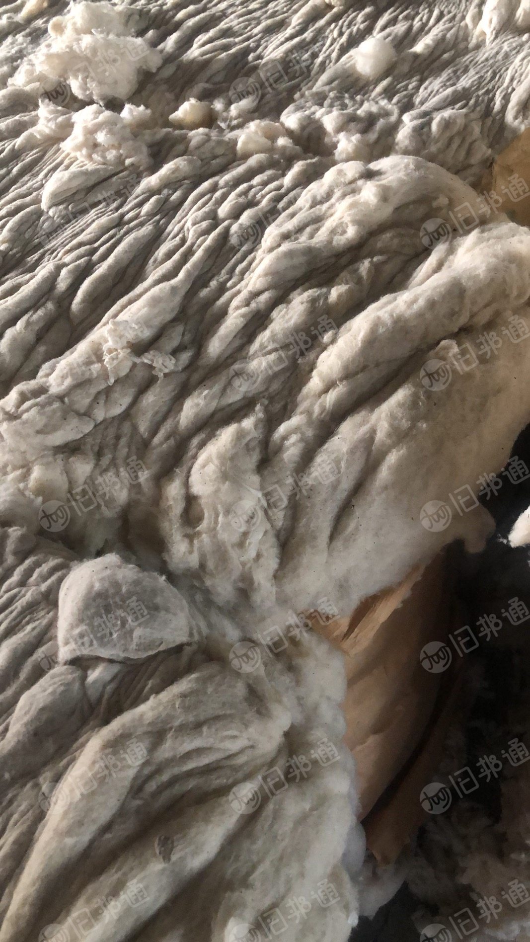 长期出售气流纺下来的粘棉鱼籽棉，风箱花，70棉30粘，现货有6.8米一车，货在江苏徐州