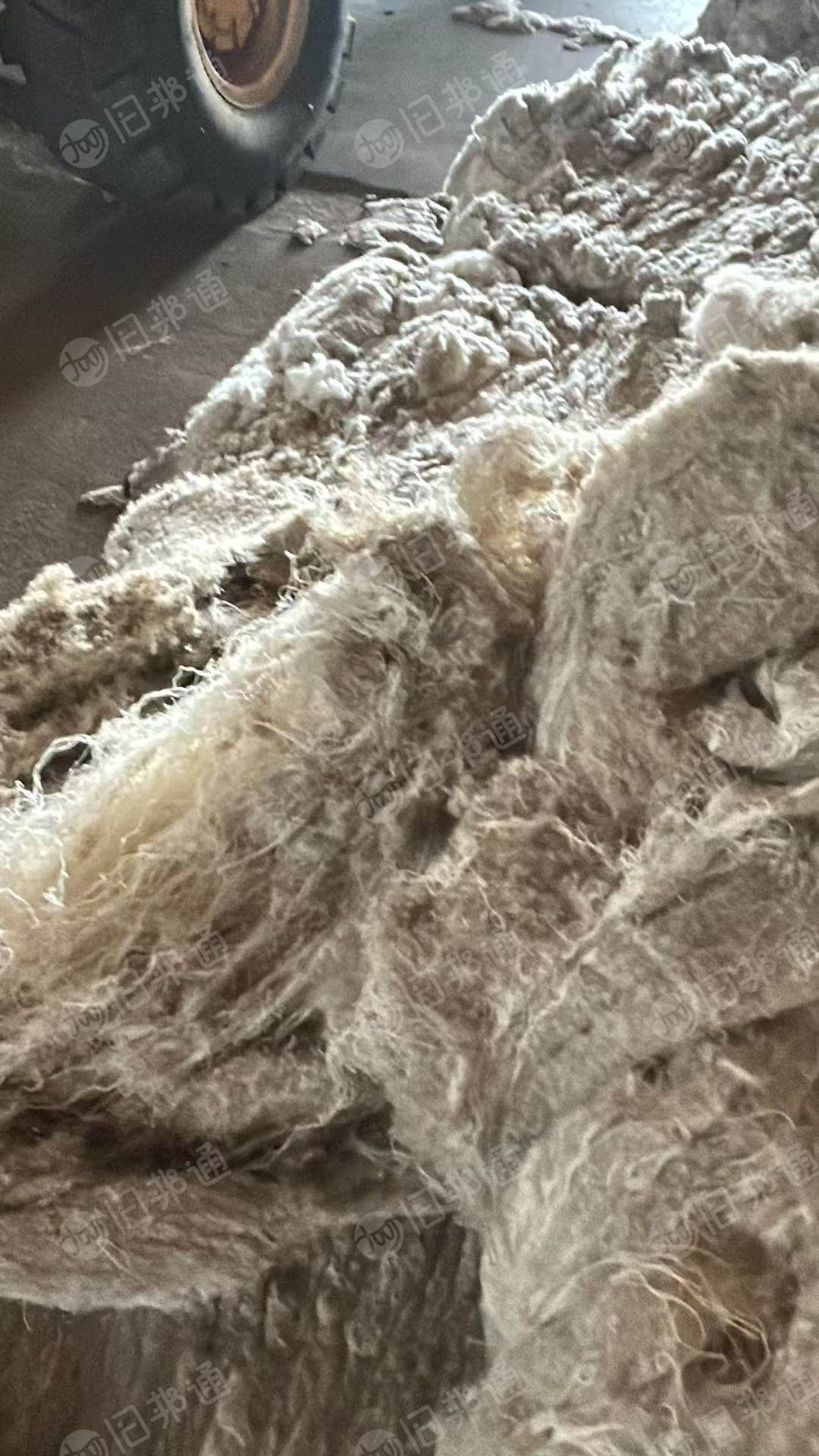 长期出售气流纺下来的纯棉鱼籽棉，现货9.6米一车，货在新疆昌吉