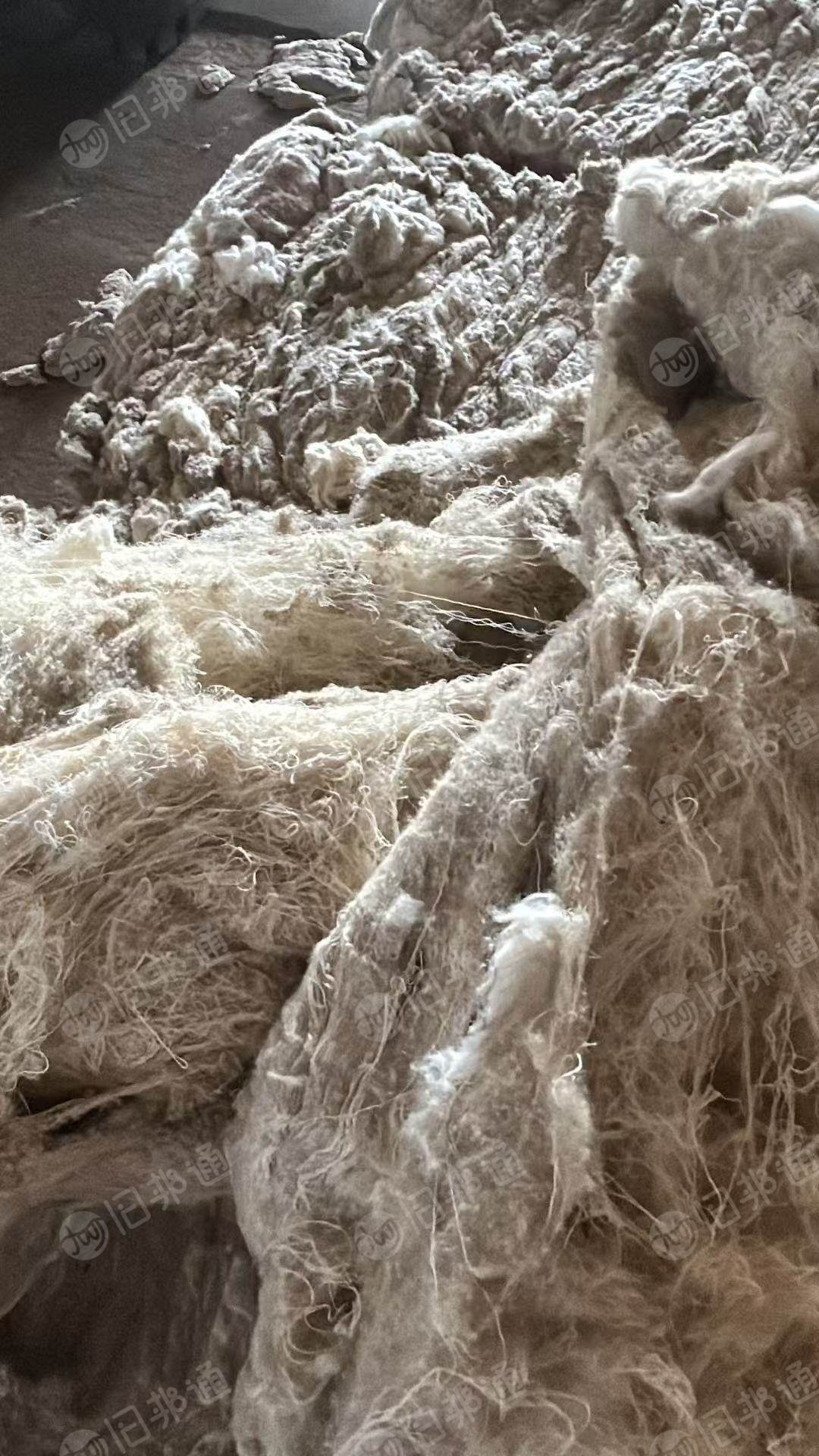长期出售气流纺下来的纯棉鱼籽棉，现货9.6米一车，货在新疆昌吉