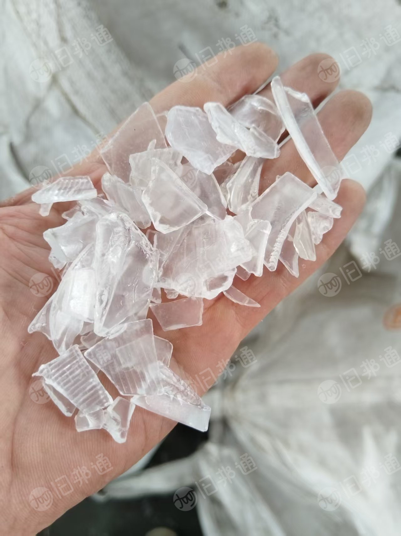 求购厂货PC机头破碎料,钛白色,乳白色,低分子透明色,造粒用