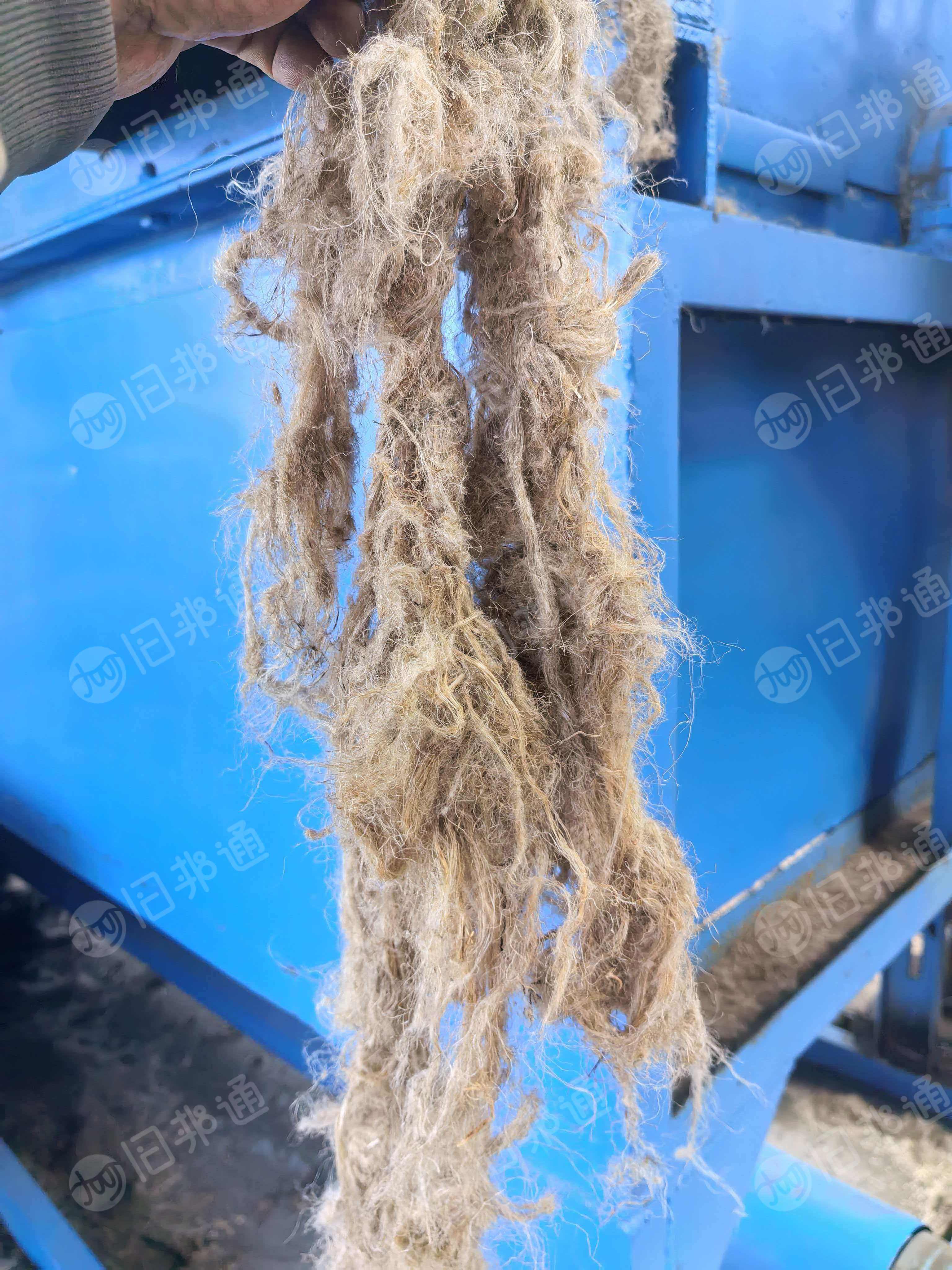 出售亚麻原材料，亚麻原料，现货200多吨