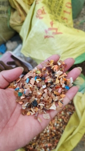 长期出售二级PVC线管破碎料，比重1.3左右