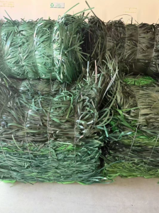 长期出售PET打包带废料，小压块的