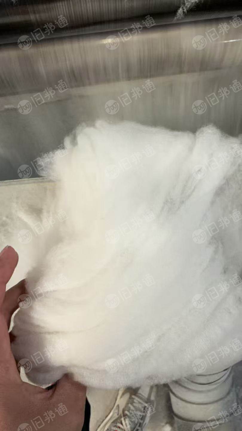 长期出售牛仔布块精梳棉,有无荧光精梳95棉,和精梳纯棉,可以供气流纺纱,厂在河南商丘