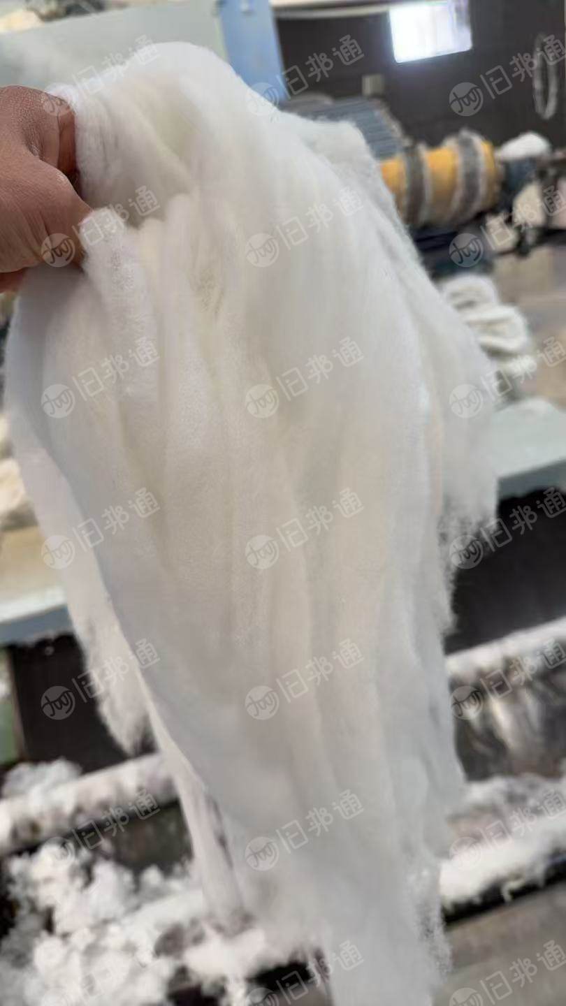 长期出售牛仔布块精梳棉,有无荧光精梳95棉,和精梳纯棉,可以供气流纺纱,厂在河南商丘
