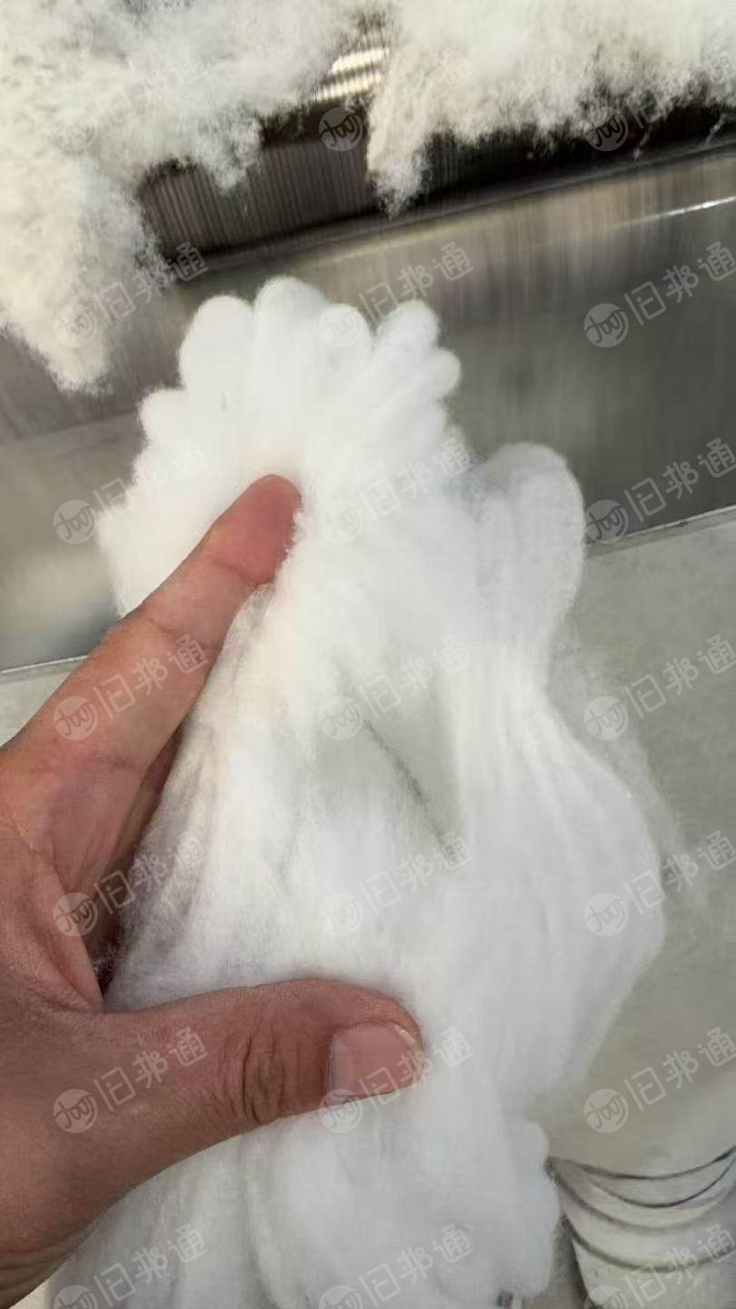 长期出售牛仔布块精梳棉，有无荧光精梳95棉，和精梳纯棉，可以供气流纺纱，厂在河南商丘