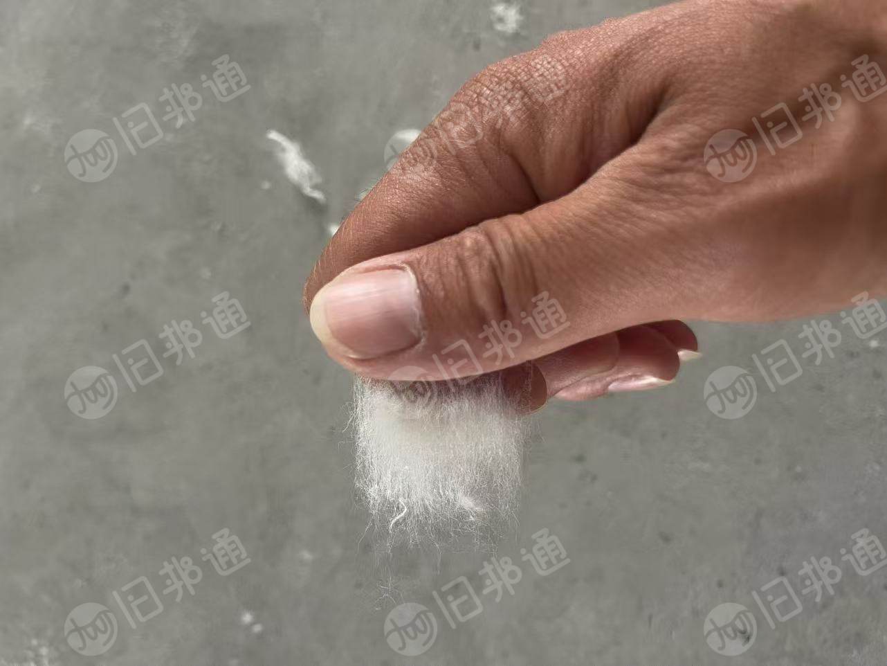 长期出售牛仔布块开松棉，开花棉，绒长，有85棉，95棉的，可以供气流纺纺10-21支棉纱