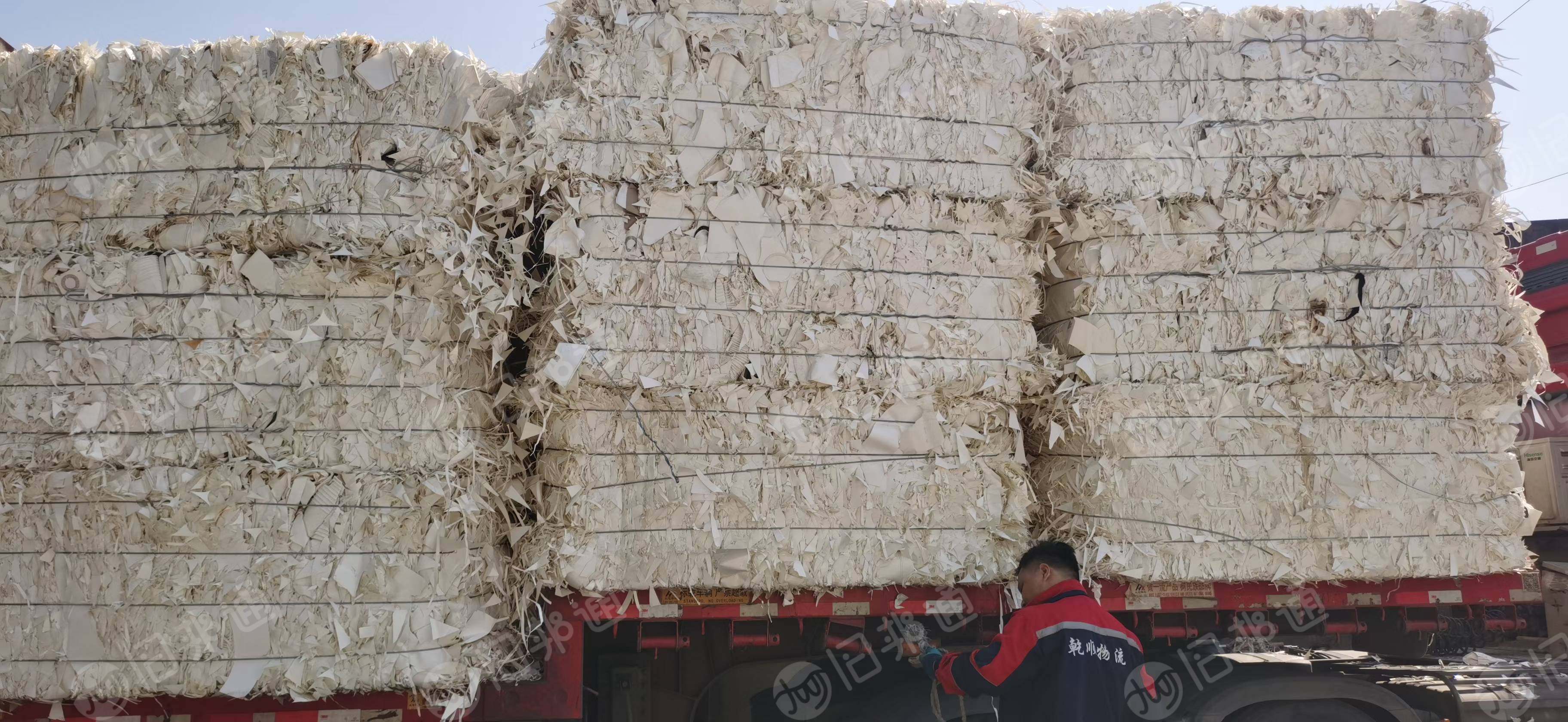 长期出售纯白口杯纸，二级白口杯纸，小花口杯纸