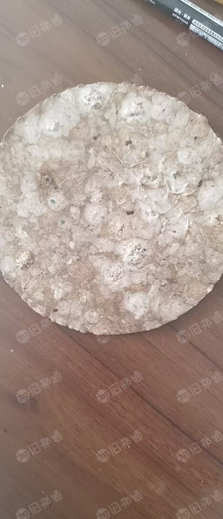长期出售浅色涤纶布泡，涤纶泡料，pet泡料，每月布泡可生产3000吨，厂在山东济宁