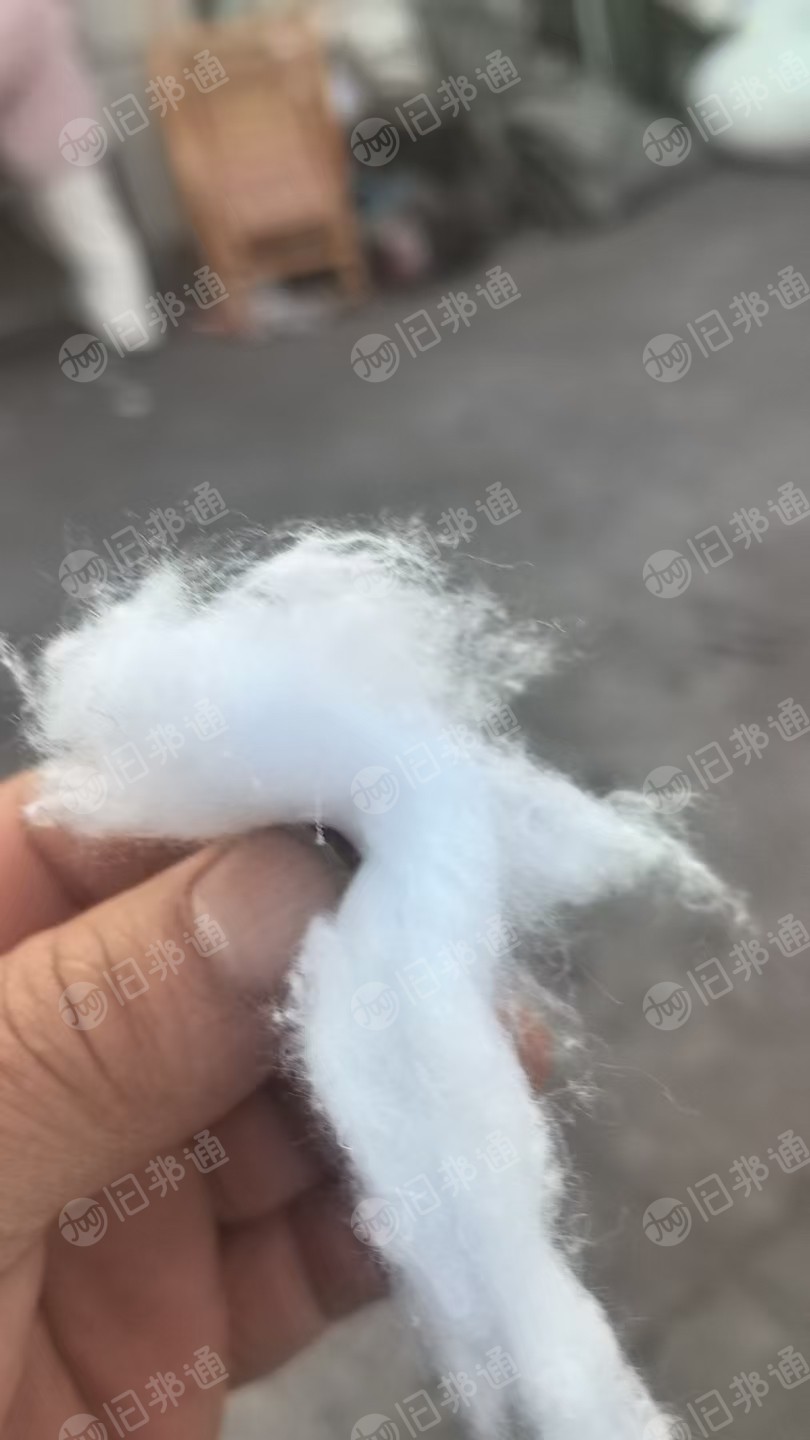 长期出售漂白废布开好的开花棉，开松棉，有涤棉的，也有全棉的，厂在浙江金华