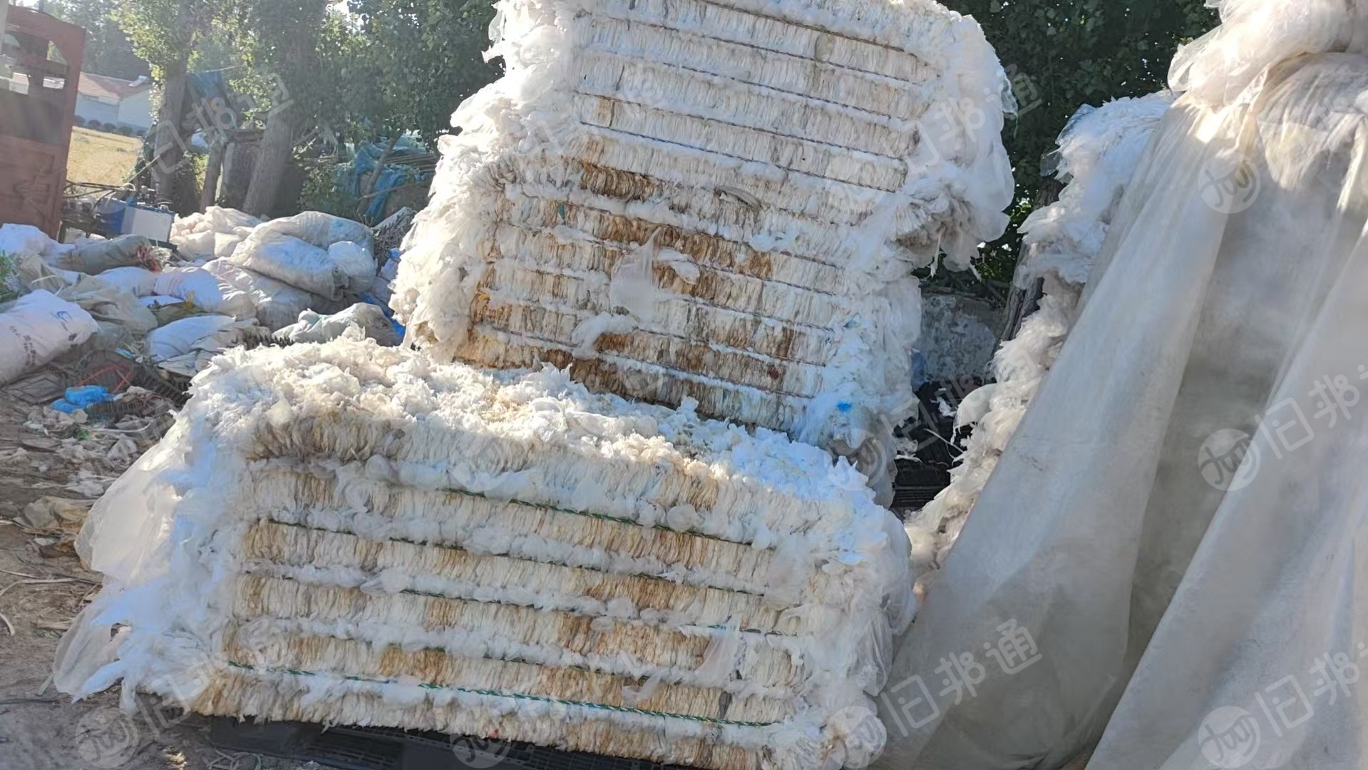 长期出售干造低压膜废料,纺织厂/手套厂/鞋底厂下来的,含标签,月供40吨