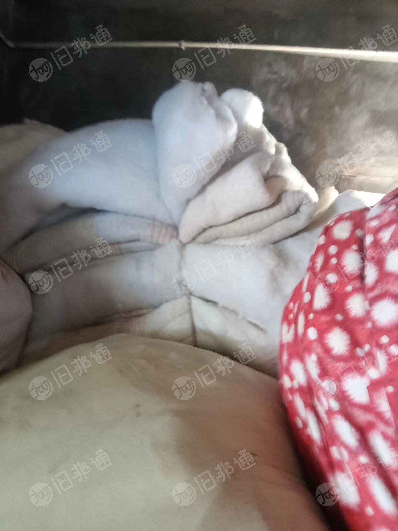 出售旧衣服统货,旧棉被,毛绒玩具等,现货有9.6米一车,货在浙江温州