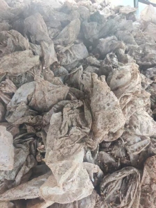 长期出售PP蘑菇菌包装袋，现货一车