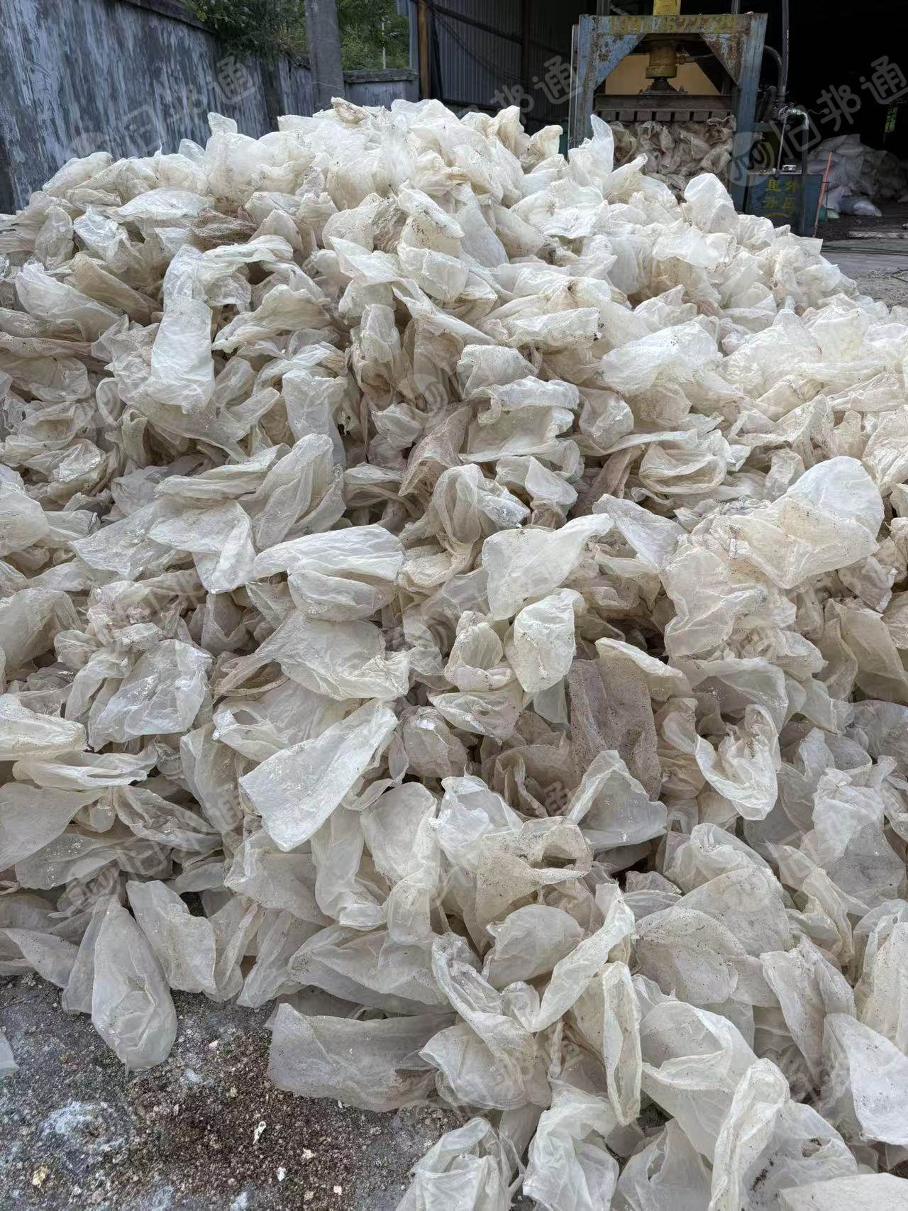 长期出售低压蘑菇袋，蘑菇膜