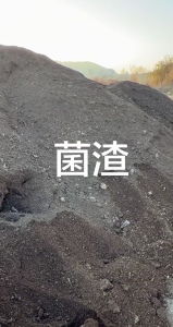 长期出售蘑菇渣，菌渣