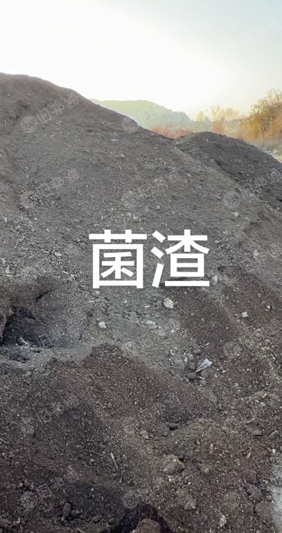 长期出售蘑菇渣，菌渣