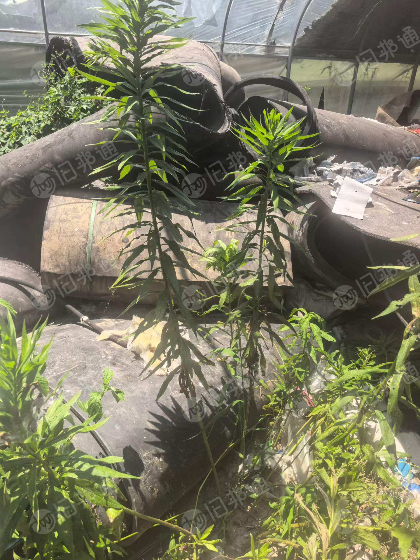 出售橡胶输送带