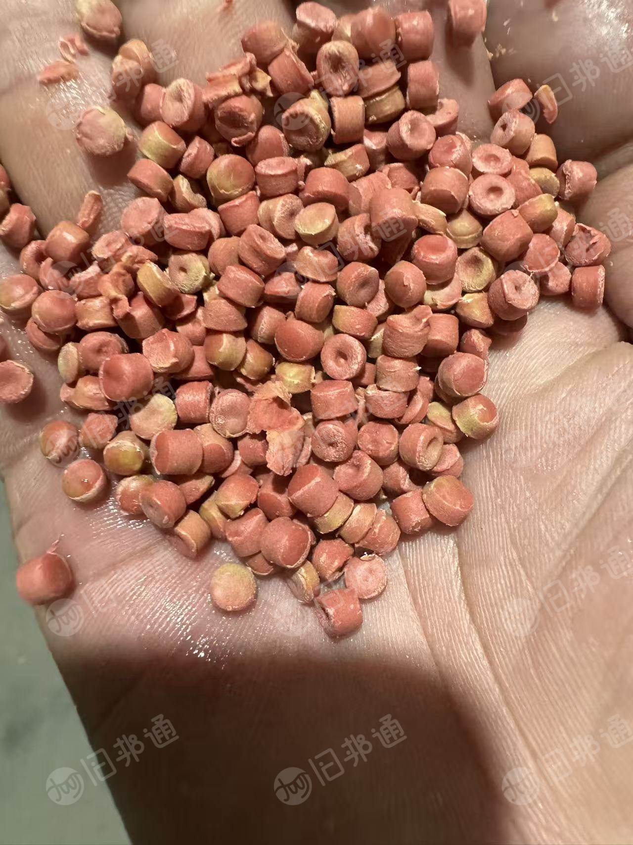长期出售低压颗粒，沉水水马颗粒