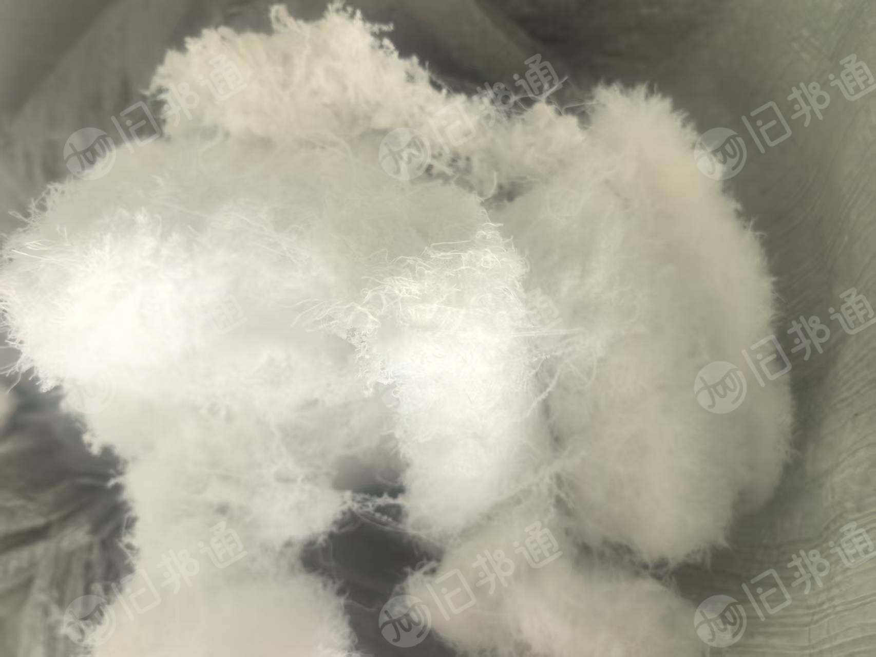 长期出售锦氨废丝，锦纶包芯纱，锦氨干丝，现货有20吨左右，货在江苏宿迁