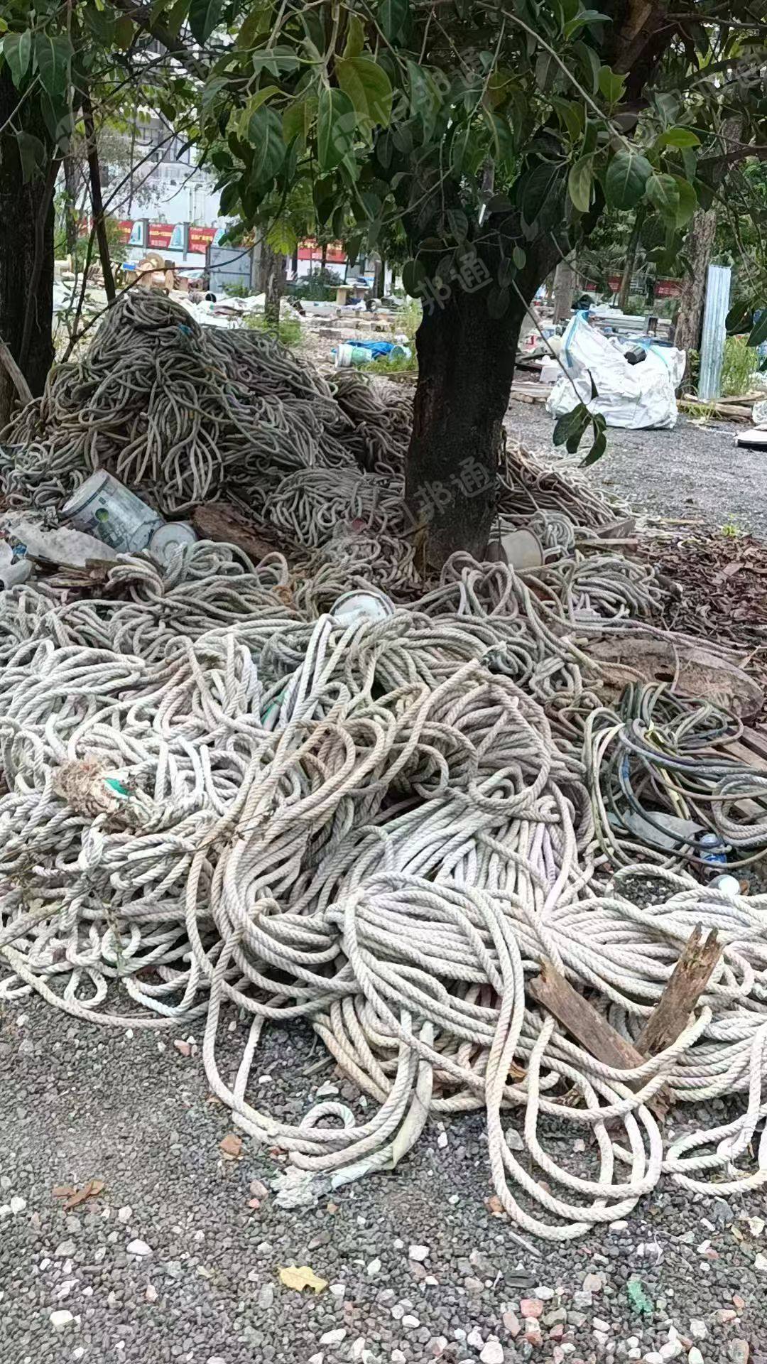 长期出售涤纶安全绳，涤纶绳，货在广东东莞
