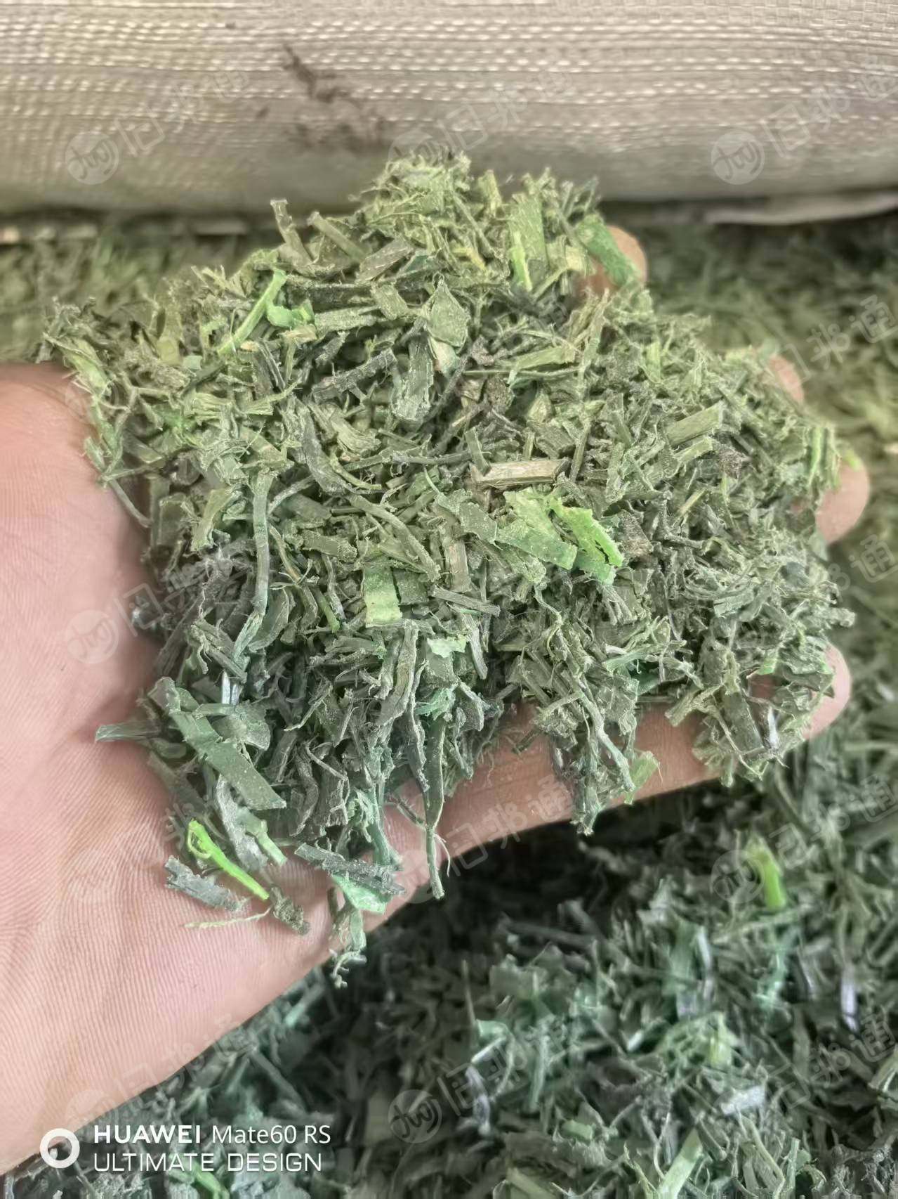 出售PET打包带粉碎料,干粉的,现货40几吨