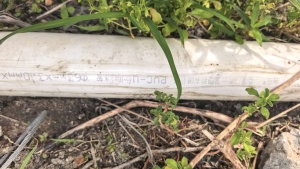出售PVC管毛料，现货4吨左右