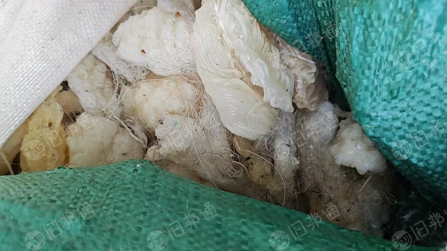 出售机头料炼油料，PP,PE,PA材质，现货一挂车