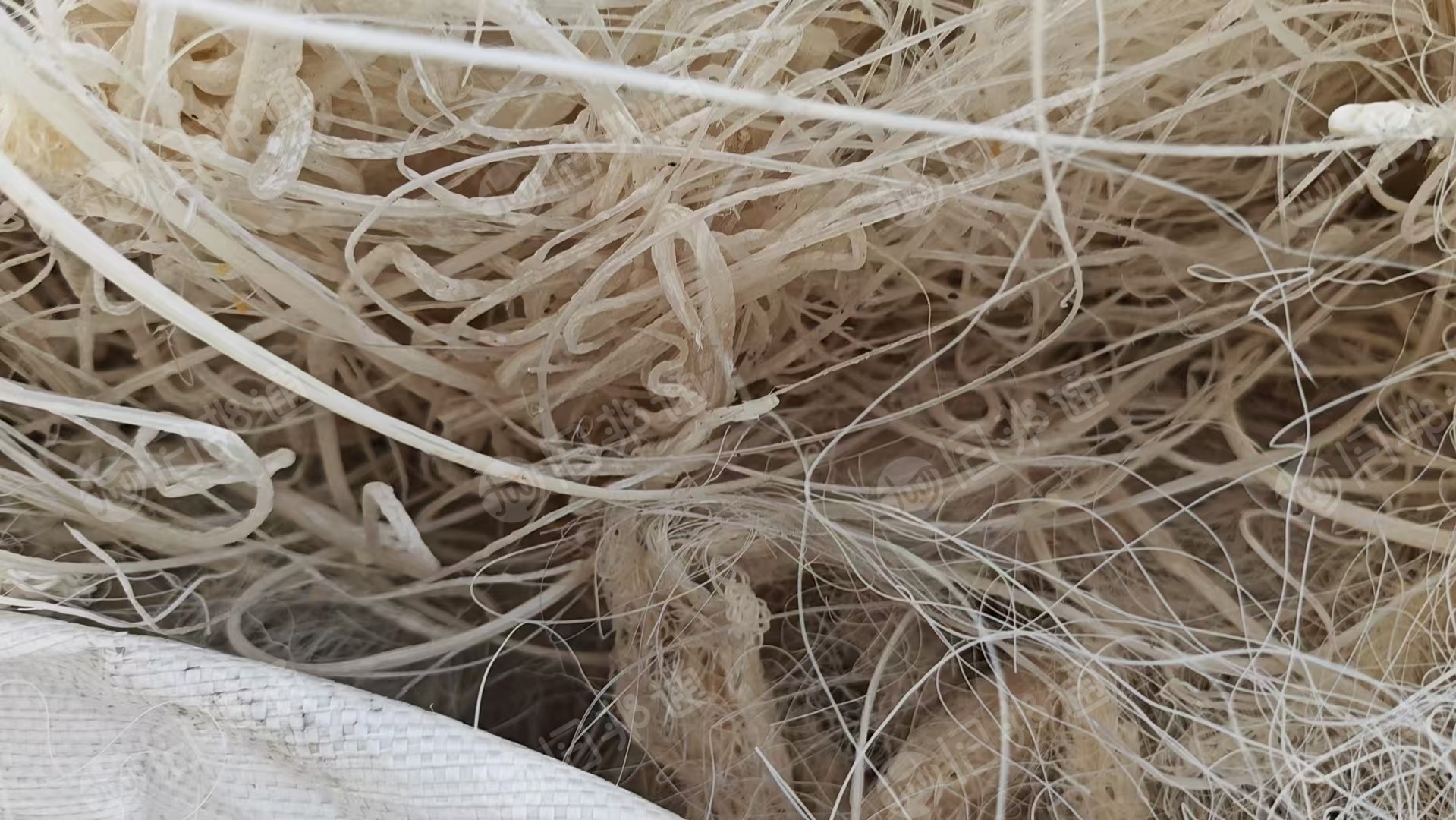 出售机头料炼油料，PP,PE,PA材质，现货一挂车