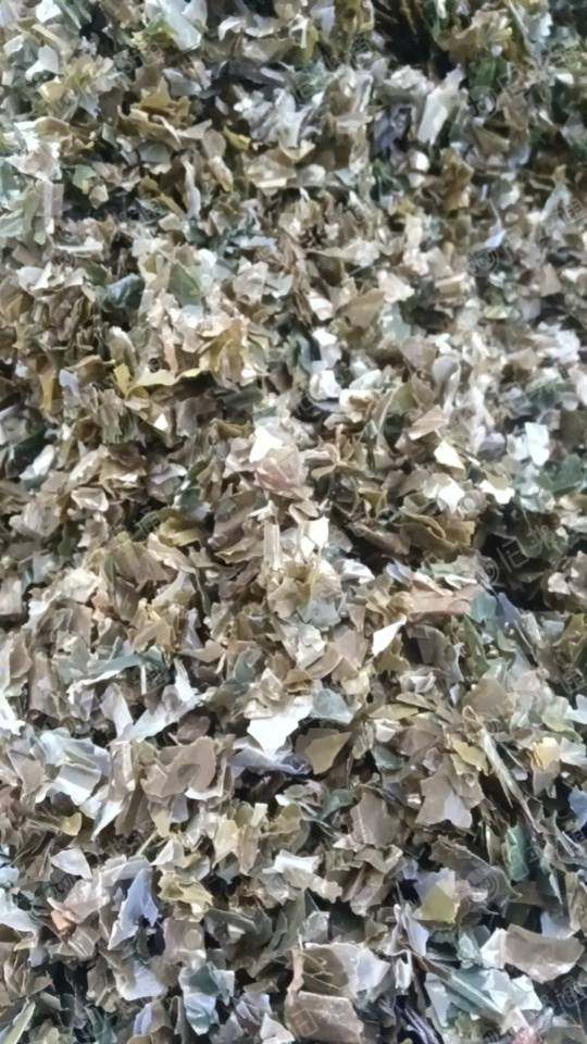 PVC秧盘破碎料