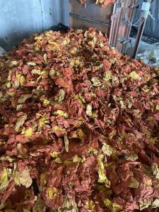 长期出售废果袋纸压包料