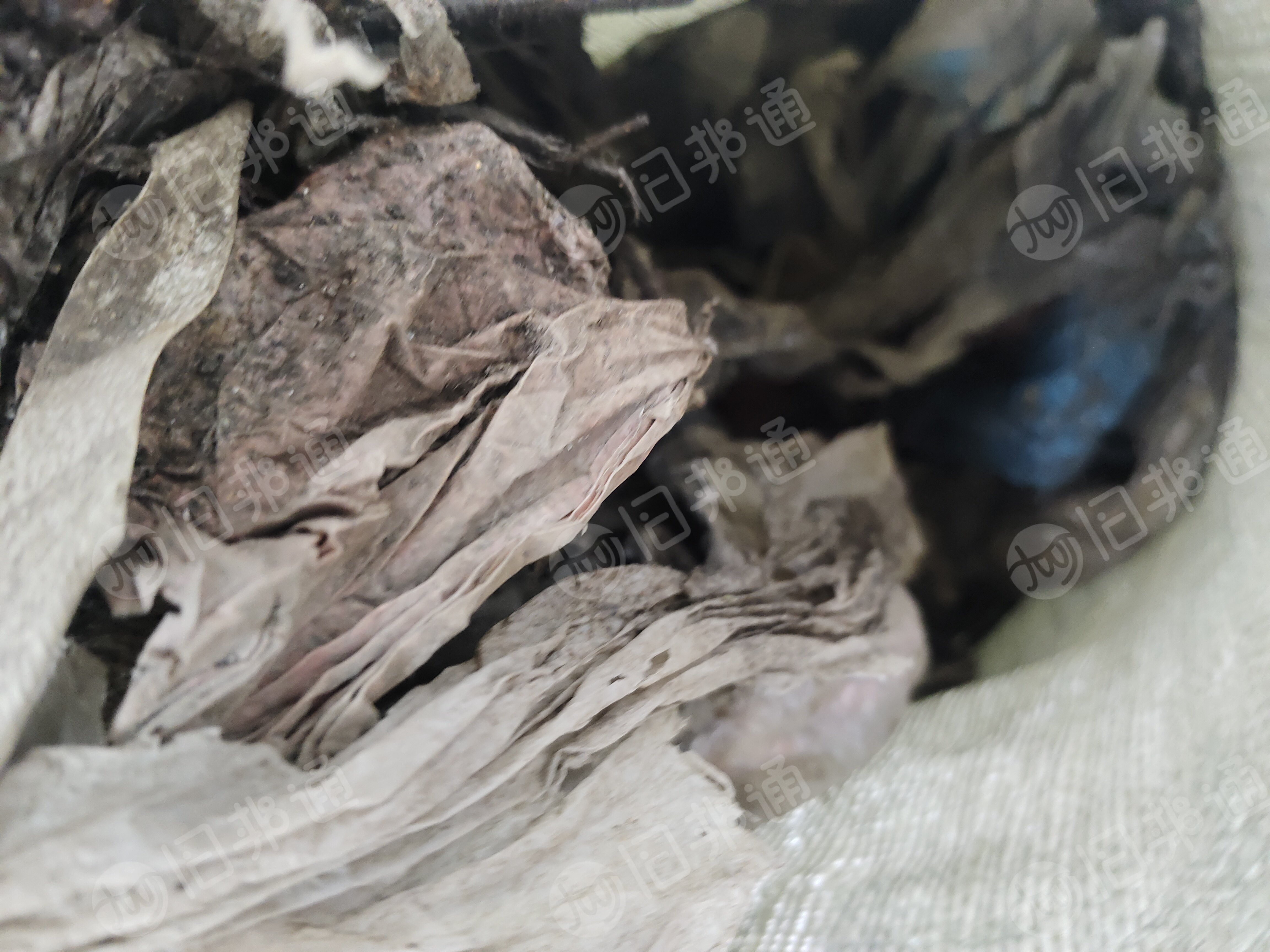 出售环保集团下来的杂膜，生活垃圾膜，可以炼油，现货10万方