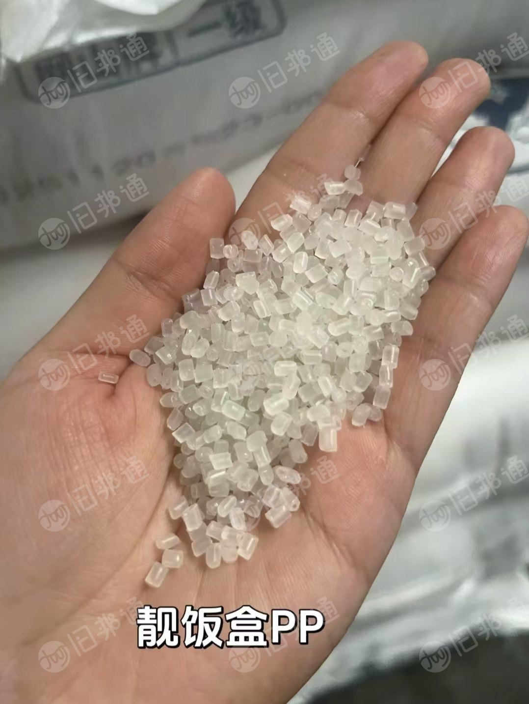 出售原色共聚丙颗粒，靓饭盒PP颗粒，水杯饭盒PP颗粒