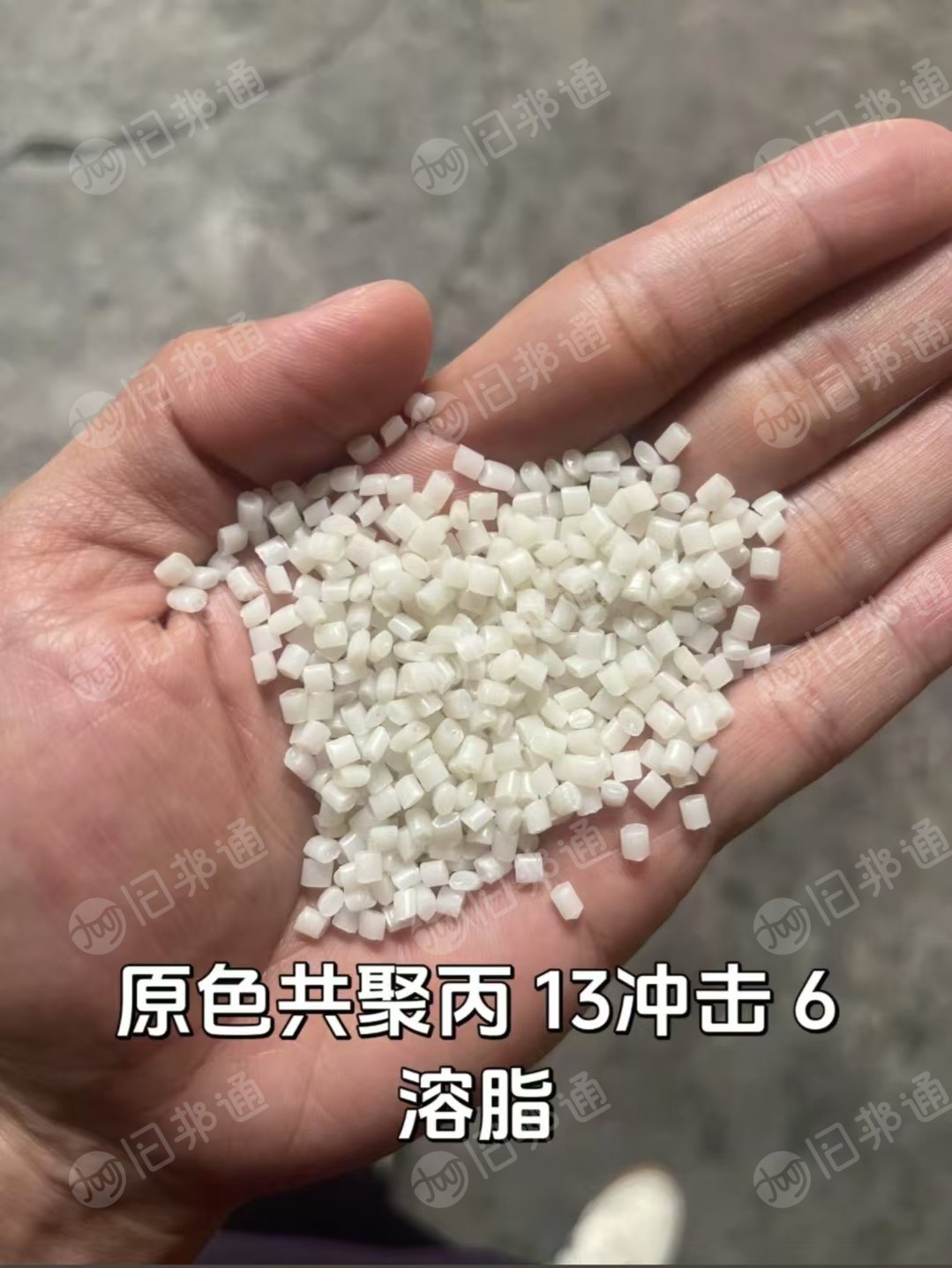 出售原色共聚丙颗粒，靓饭盒PP颗粒，水杯饭盒PP颗粒