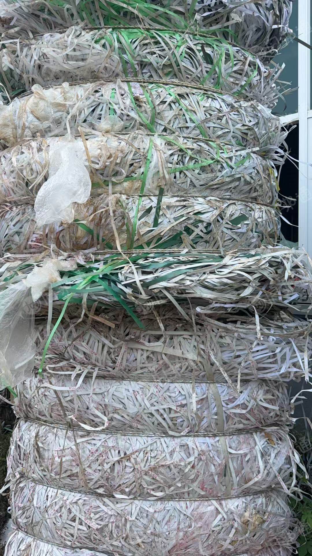 长期出售PP打包带废料，聚丙打包带废料