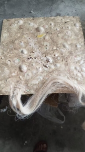 长期出售浅三色的涤纶布泡，涤纶泡料，pet泡料，现货一百多吨，货在江苏常州