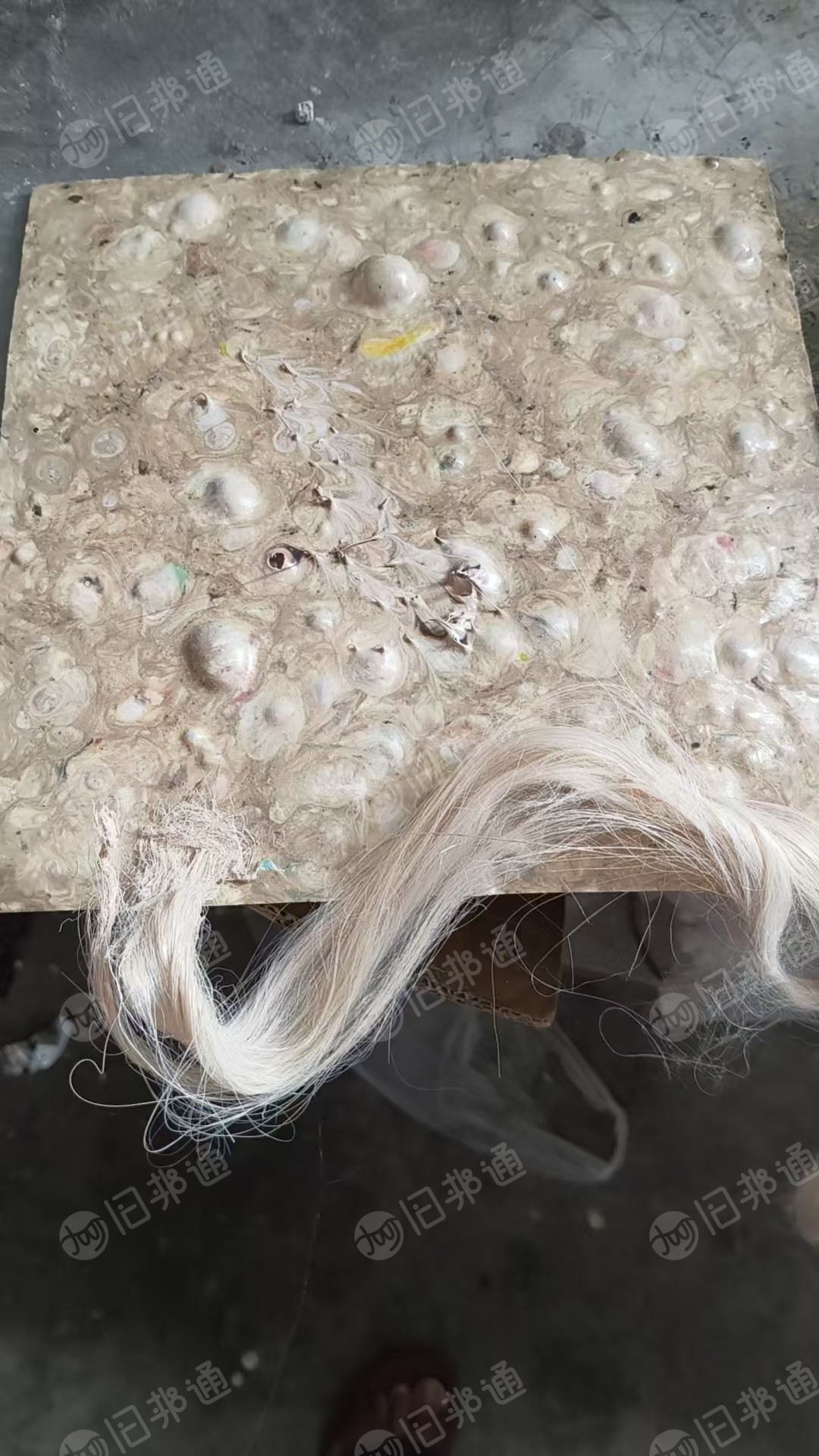 长期出售浅三色的涤纶布泡，涤纶泡料，pet泡料，现货一百多吨，货在江苏常州