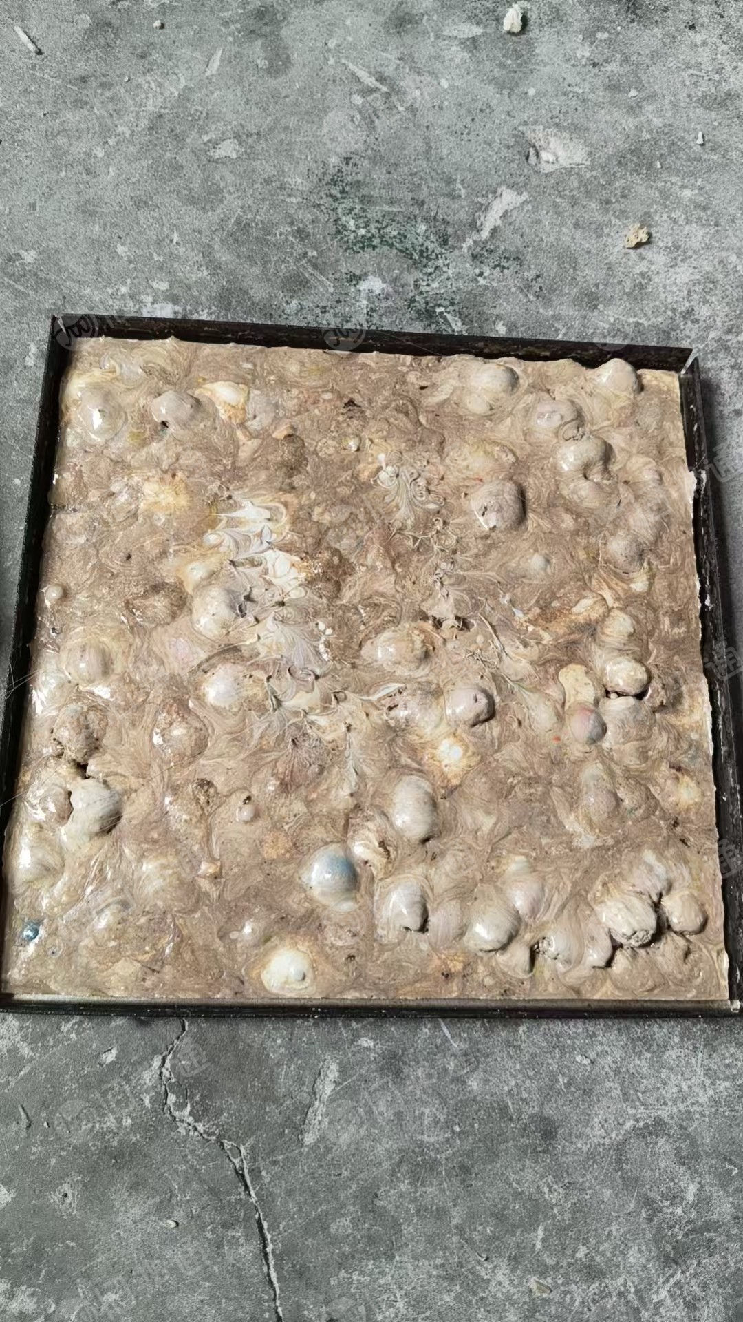 长期出售浅三色的涤纶布泡，涤纶泡料，pet泡料，现货一百多吨，货在江苏常州