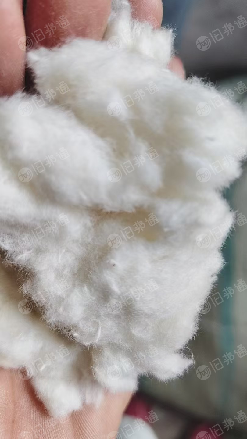 长期出售割绒厂下来的白色纯棉毛毛料，纯棉绒毛，现货有七八吨，货在河北保定