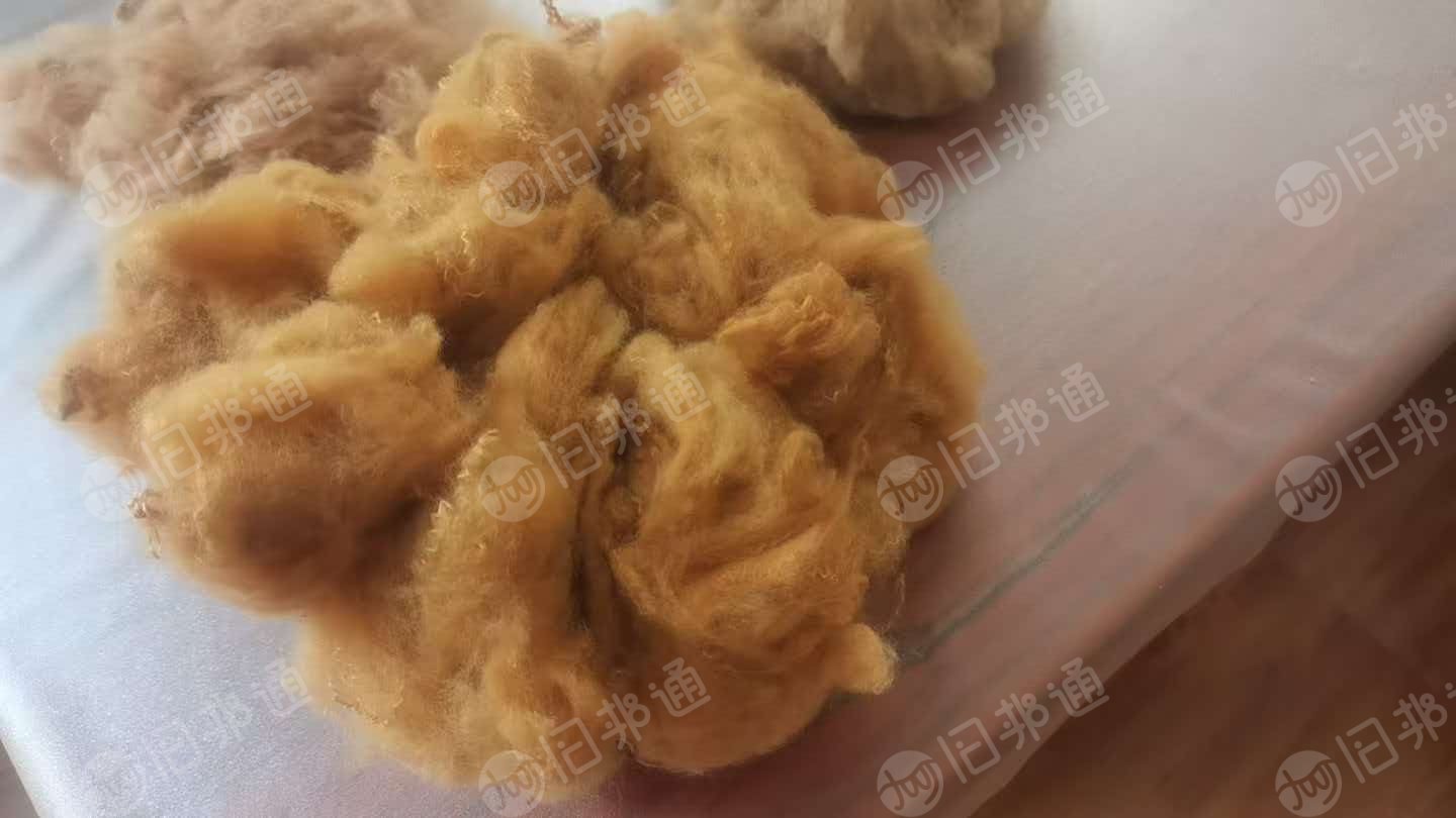 长期回收驼色涤纶短纤，涤纶短纤维，4D*51的，做针刺棉用，厂在河北石家庄